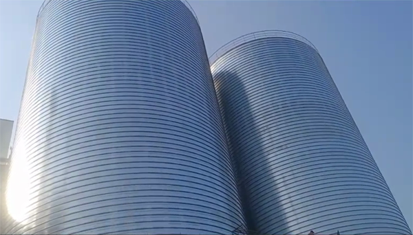 黑河2座混凝土高架卷板仓